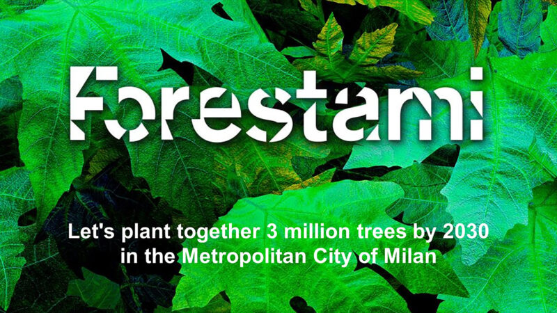 00_Forestami