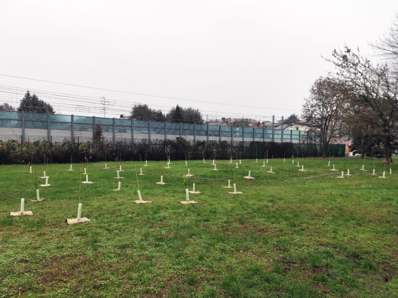 02_Trezzano sul Naviglio_autunno 2021