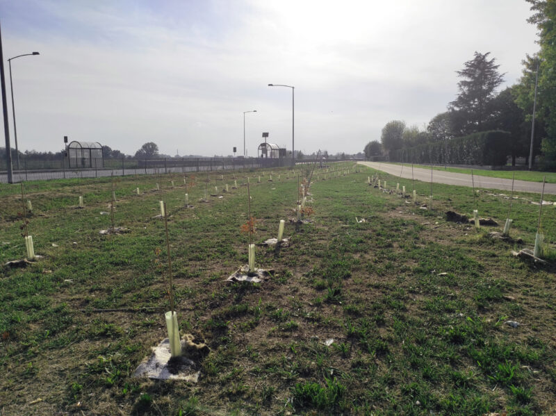 03_Colturano_autunno 2021