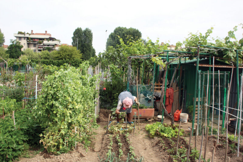 03_Orti di Buccinasco