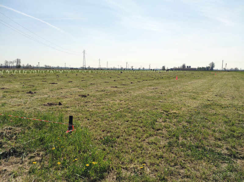 07_Noviglio_primavera 2022