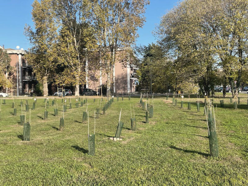 09_Pioltello_primavera 2022