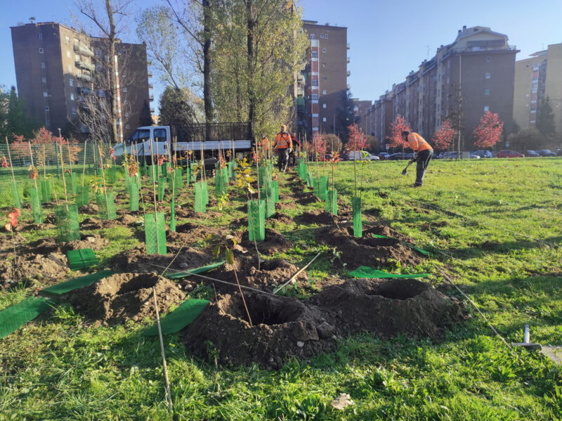 10_Cesano Boscone_autunno 2022